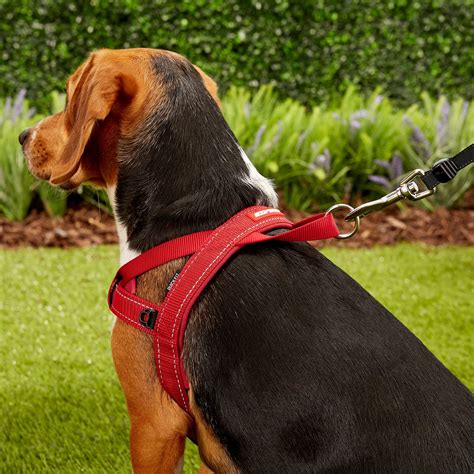 perfect fit harness by dog games|20 perfect fit dog harness.